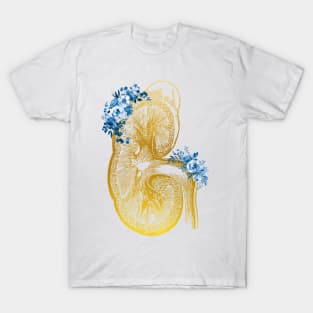 Kidney section T-Shirt